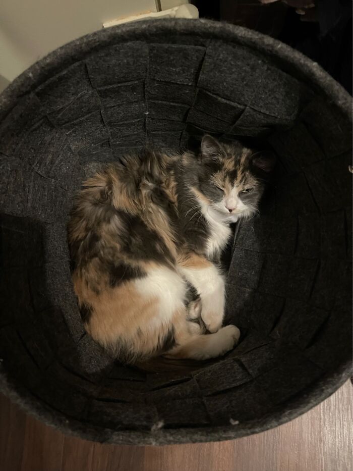 Mmghmm. Did You Need This?