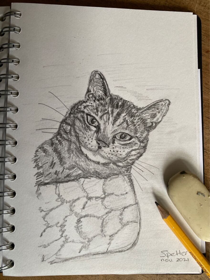 This Is My Cat Spetter. He Loves To Lay Down In His Catbed And Just Look At Us…for Hours!