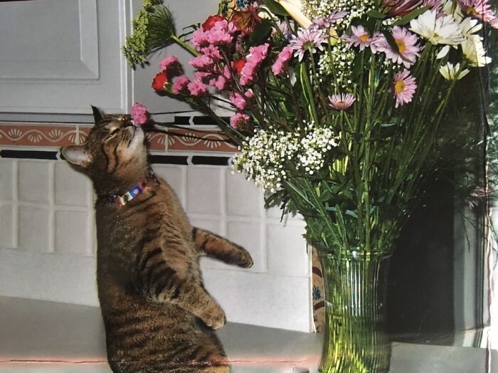 These Smell Marvelous!