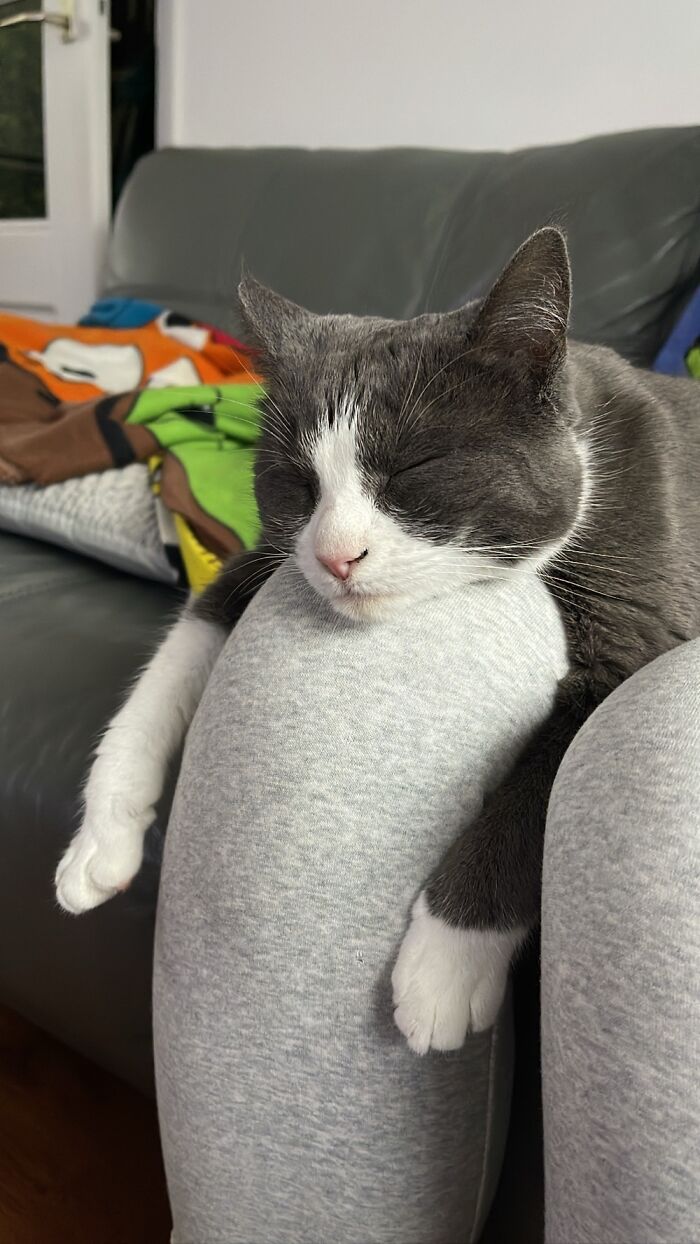 Kona The Sleeping Beauty