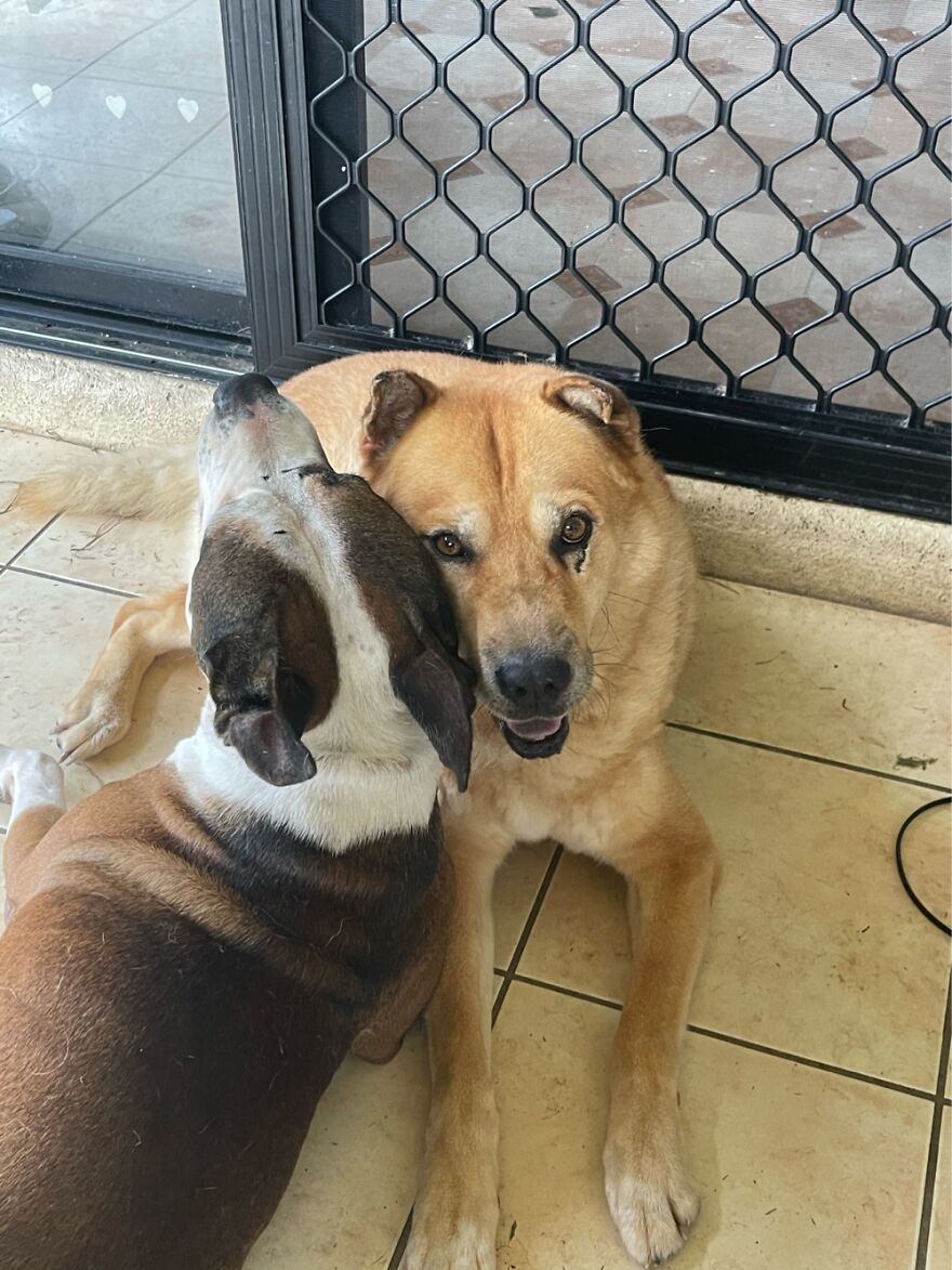 Thor Loves His Adopted Brother Loki.