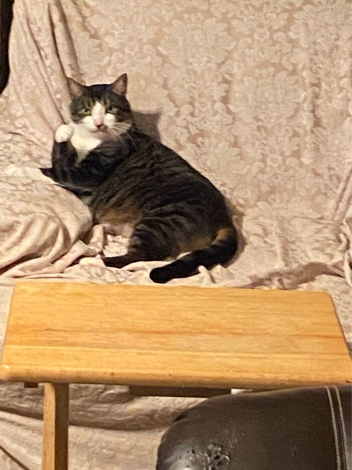 Ringo Starr In His Chair Judging Us All.