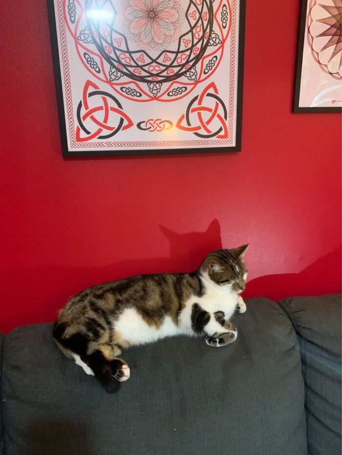 Jethro Surveying His Minions (Humans!).