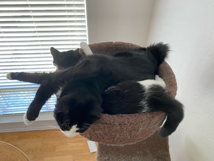 Always Room For Family.