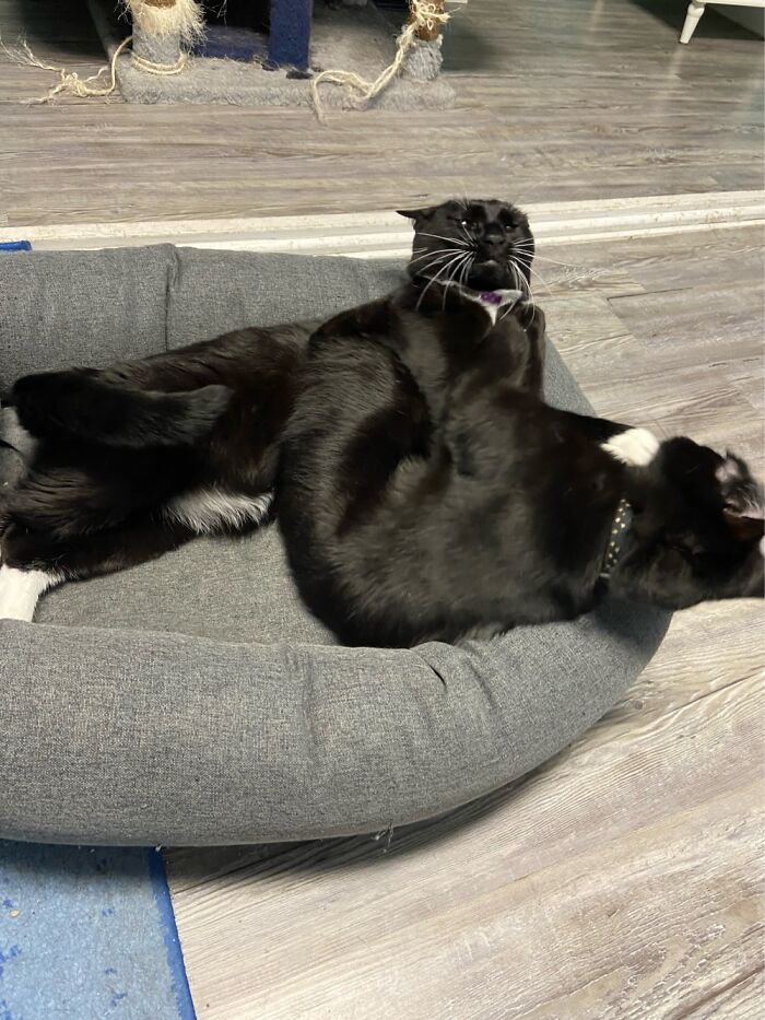 Sucker Punch. Salem Wins. Niko Has To Vacate Bed