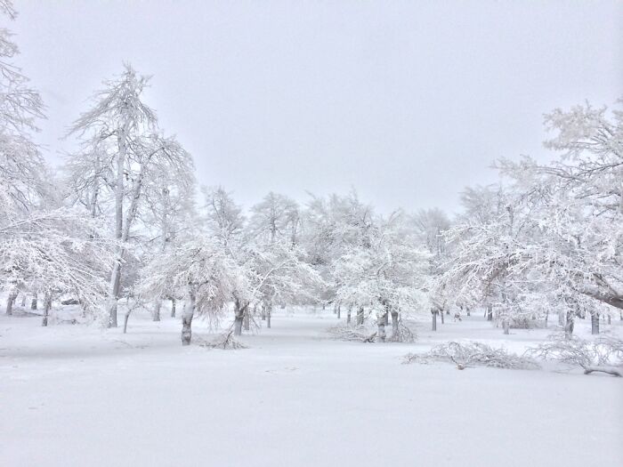 Winter Wonderland In Niagara Falls, NY