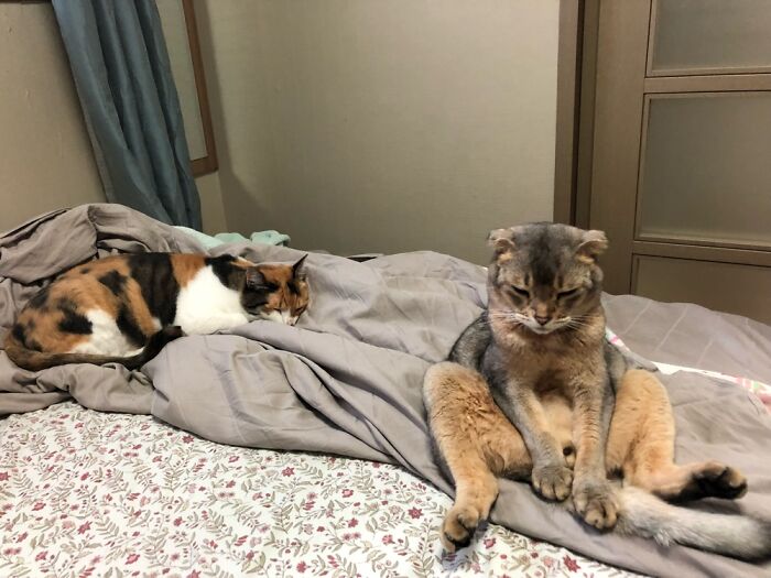 One Is Sweet, The Other Is Planning The Demise Of Every Living Thing In The House