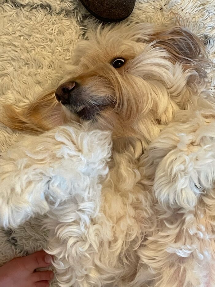 She Does This Everyday