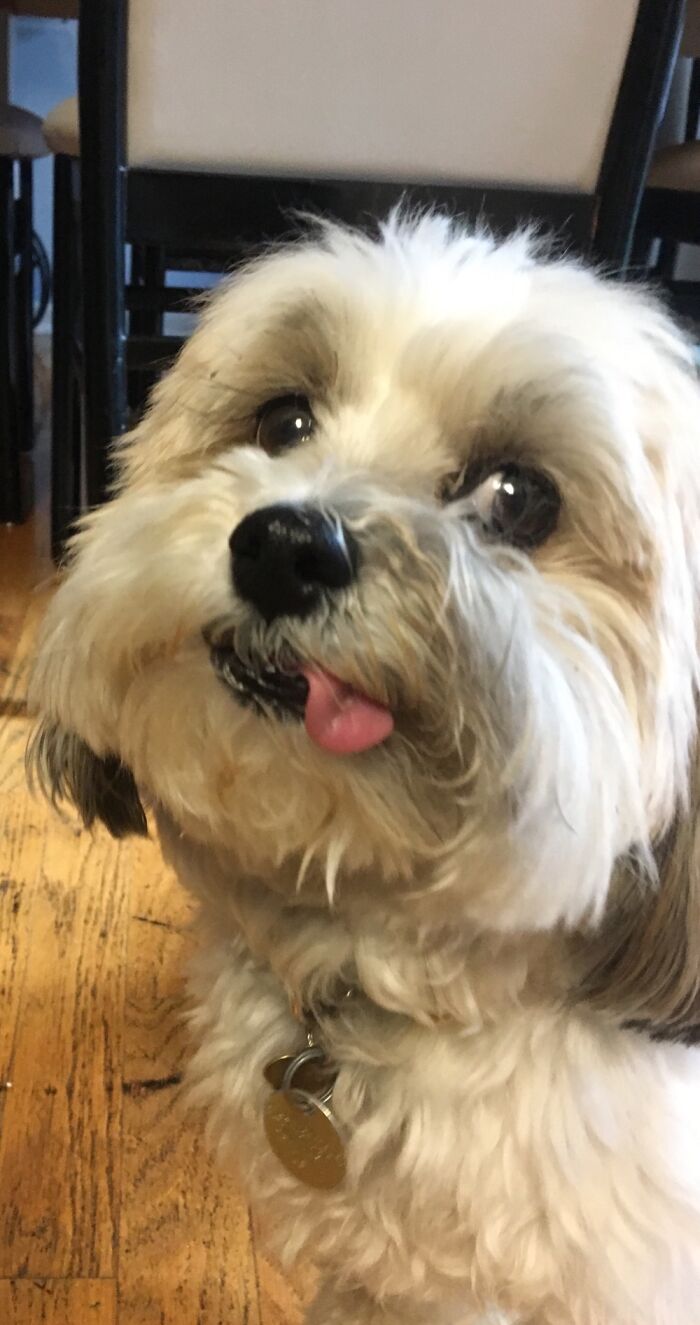 Every Day Is Tongue Out Tuesday