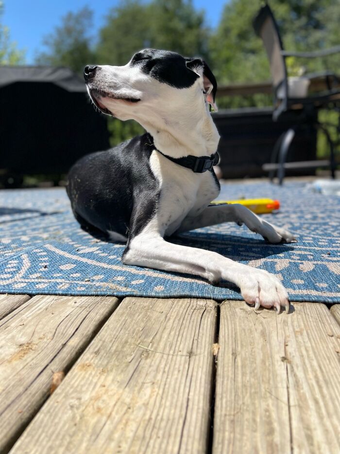 Enjoying The Sunshine