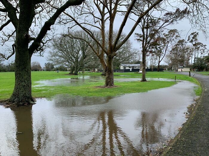 Calm After A Storm (New Zealand)