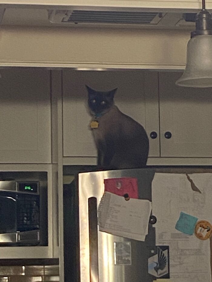 I Was Just Trying To Get Some Water At Like 8:45pm Why Did He Have To Do That