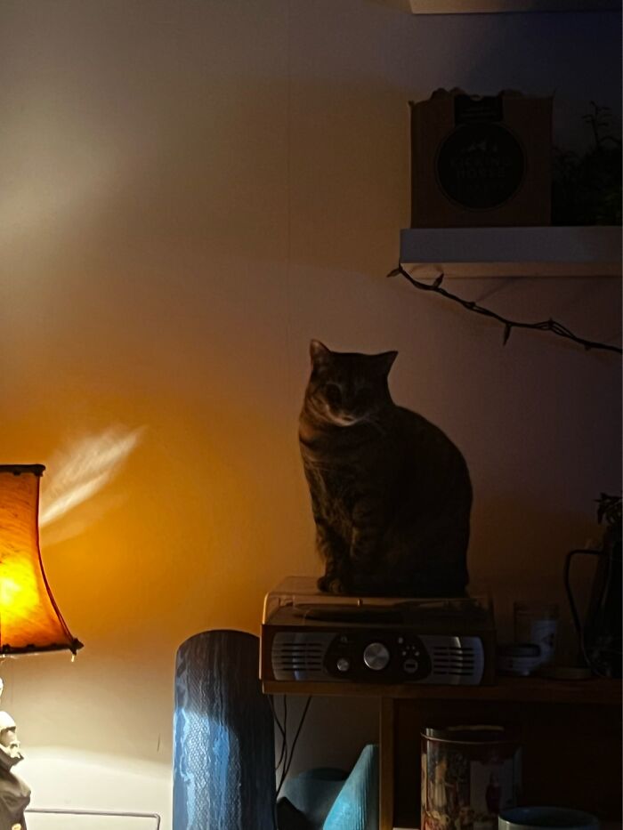 I Always Feel Like Somebodies Watching Me