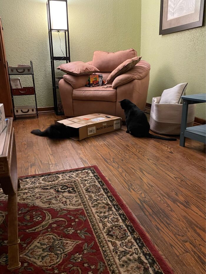 Guy Put Something Together Something That Came In This Box. My Boys Love Boxes!