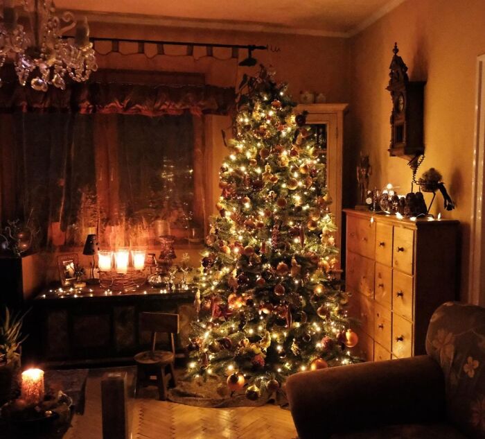Home 🎄