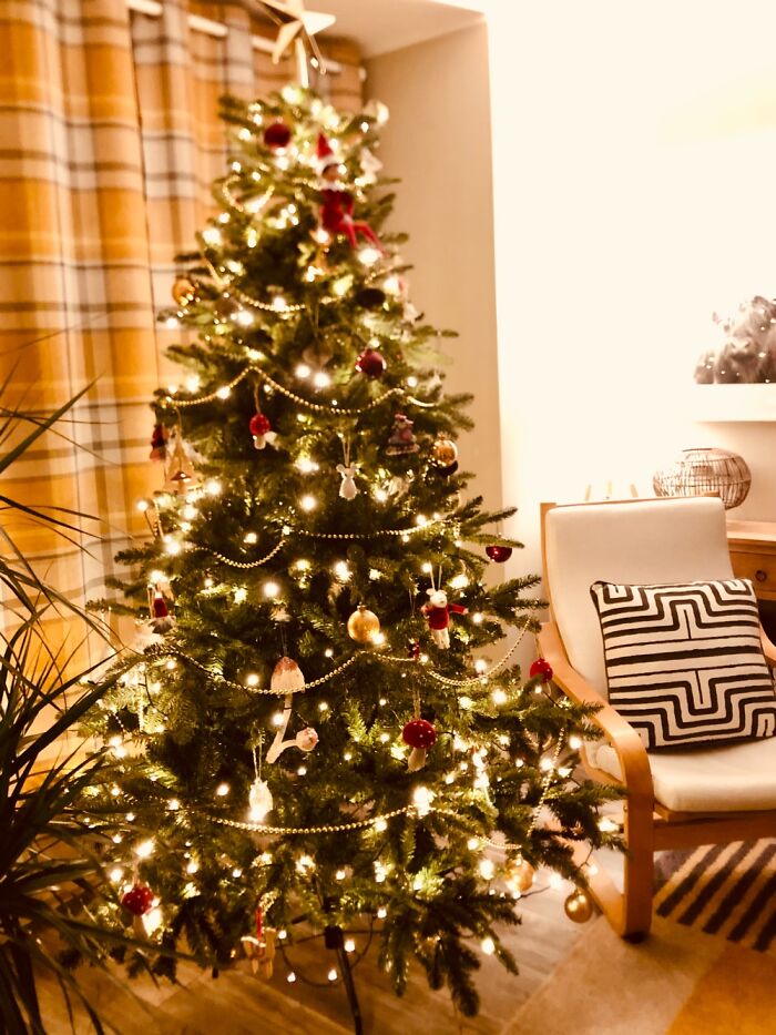 New Tree In A New House. Feeling Happy Blessed.