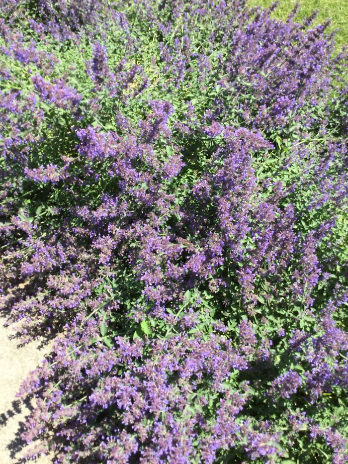 I Take Photos Of Nature Part 2 (12 Pictures)