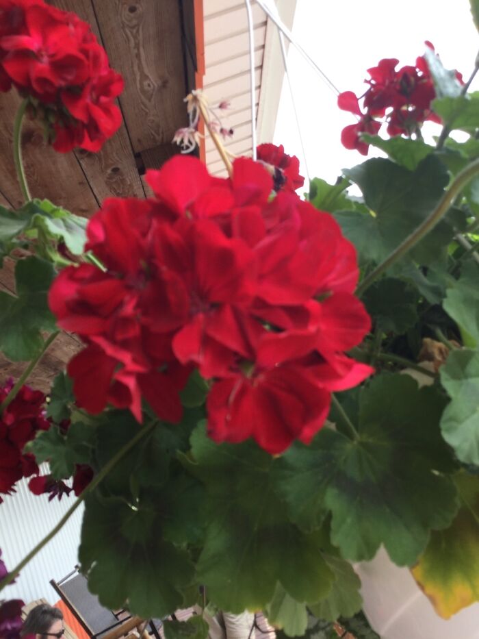 I Take Photos Of Nature Part 2 (12 Pictures)