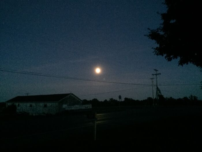 I Take Photos Of Nature Part 2 (12 Pictures)