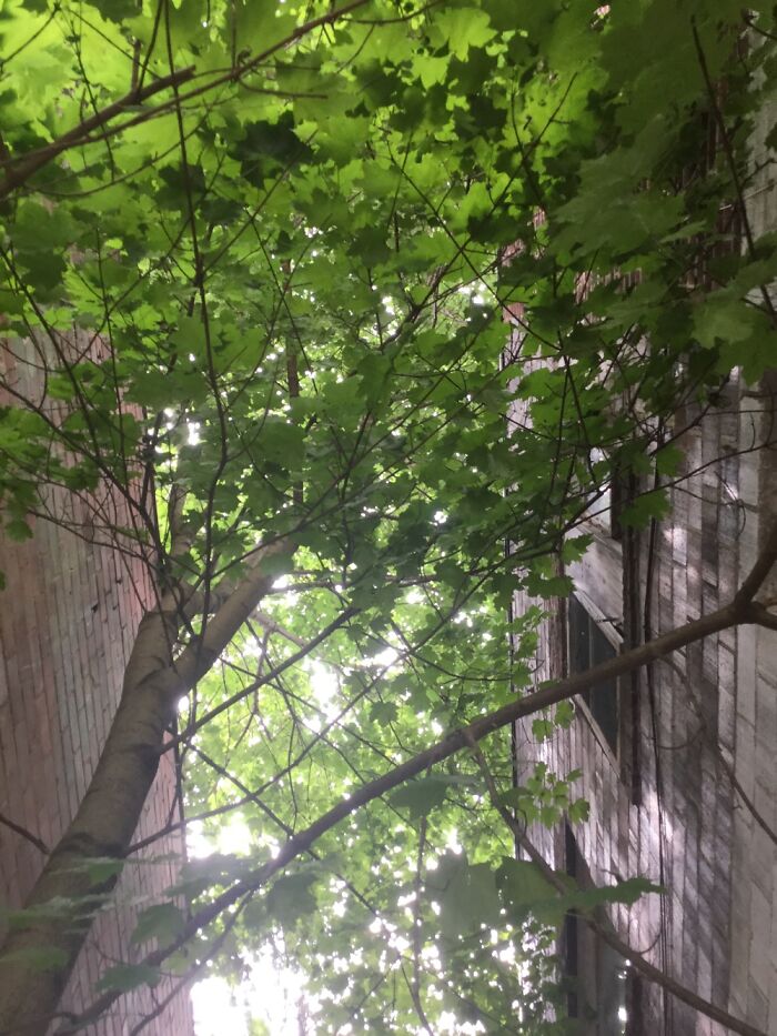 I Take Photos Of Nature Part 2 (12 Pictures)