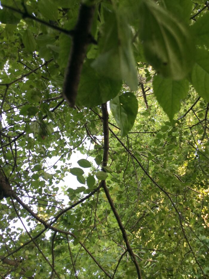 I Take Photos Of Nature Part 2 (12 Pictures)