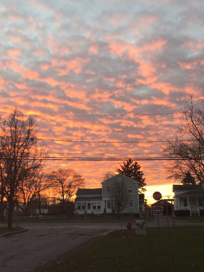 I Take Photos Of Nature Part 2 (12 Pictures)