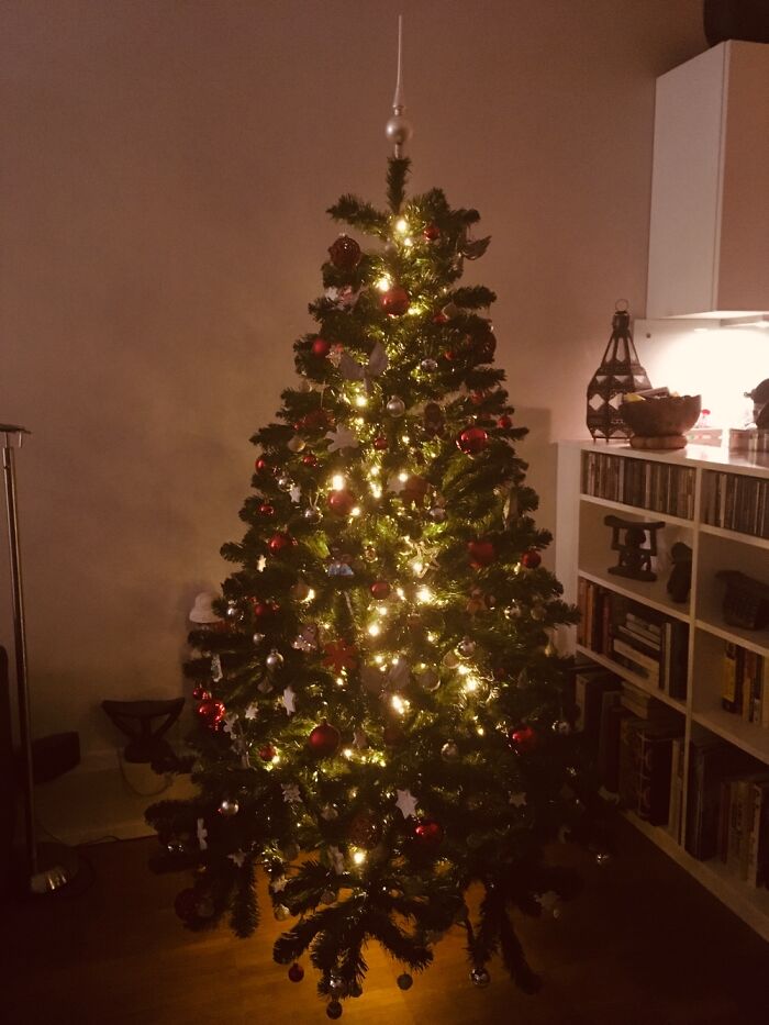Our Christmas Tree