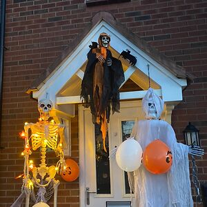 carolynmcgonigle avatar