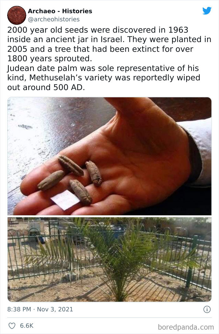 Interesting-History-Facts-Archaeo-Histories