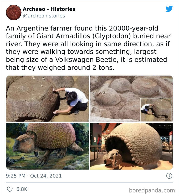 Interesting-History-Facts-Archaeo-Histories