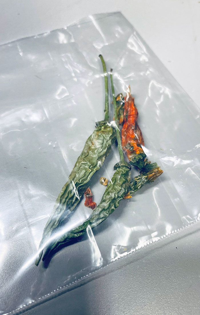 Things I Find In Printers As A Printer Technician