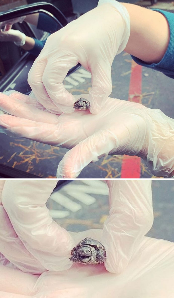 My Friend Found This Guy At Work