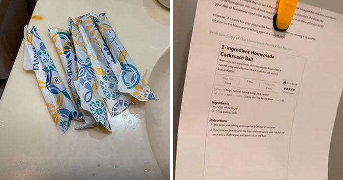 Woman Sabotages Her Landlord’s Apartment Showing By Leaving ‘Surprises’ After They Keep Setting Up Tours Without Permission