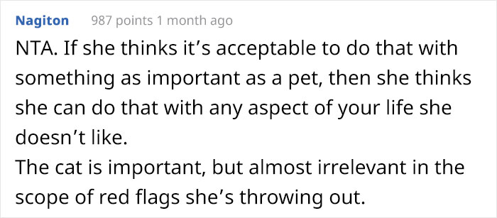 Woman Gets What She Deserves After Kicking Out BF's Cat From His House When He Wasn't Around