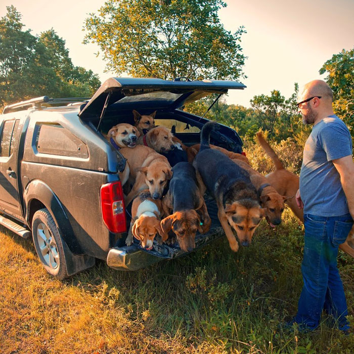 This Man Turned His Farm Into An Animal Shelter That Not Only Has Dogs And Cats But Also Other Animals Such As Horses, Seagulls And Others