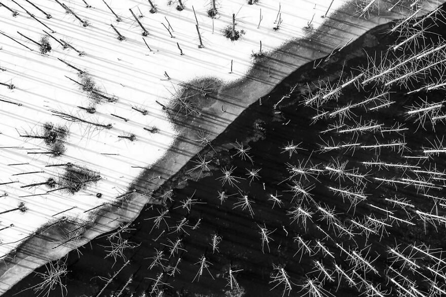 Runner-Up, Black And White: "Yin And Yang" By Gheorghe Popa