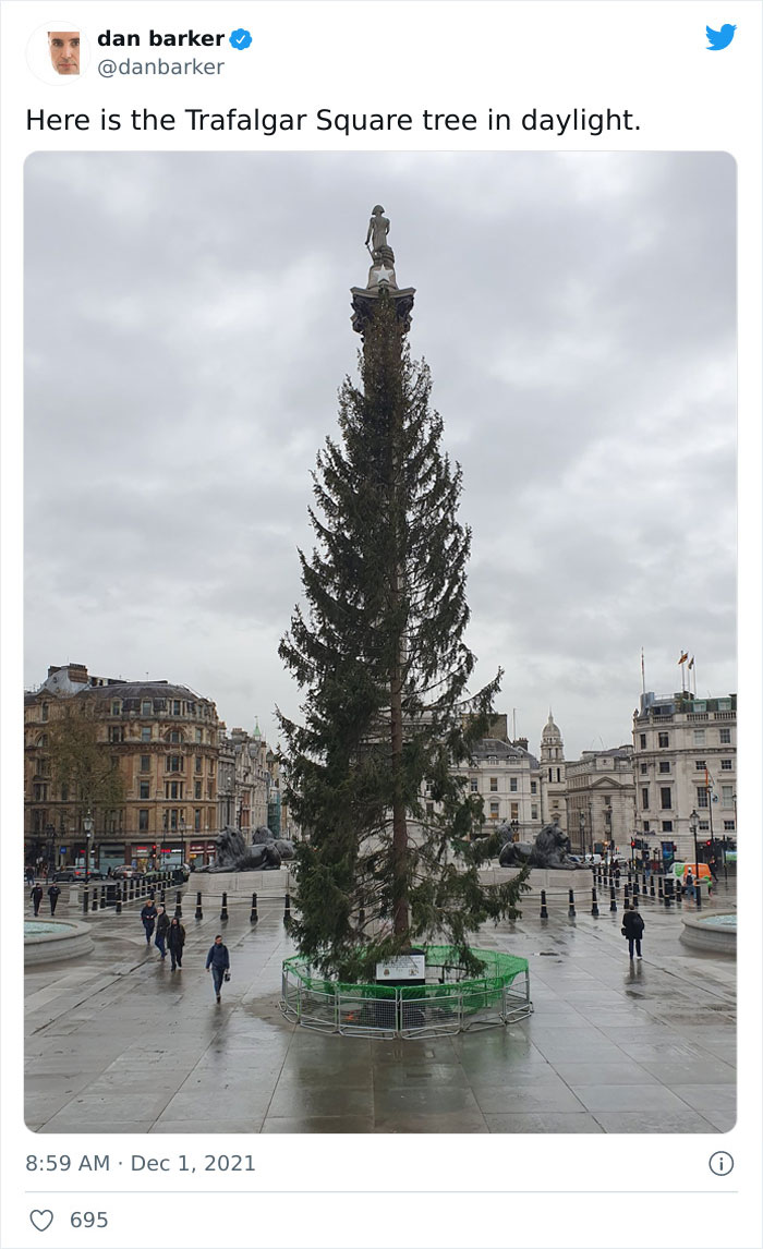 Brits Can&rsquo;t Contain Their Laughter After Norway Sent Them Their Special Christmas Tree (24 Reactions)