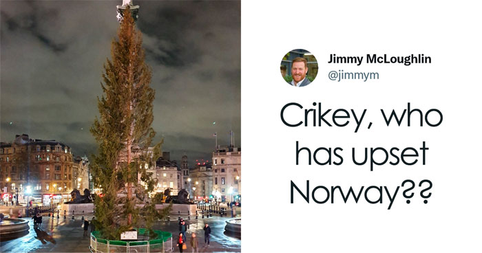 Brits Can’t Contain Their Laughter After Norway Sent Them Their Special Christmas Tree (24 Reactions)