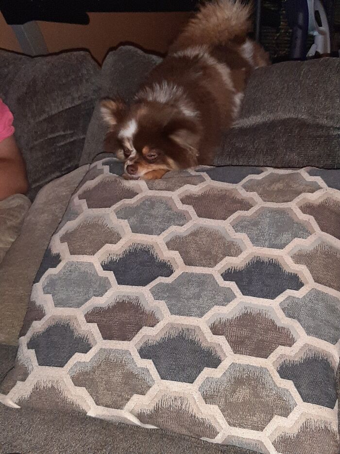 Supernova Reign Has Pooped Out