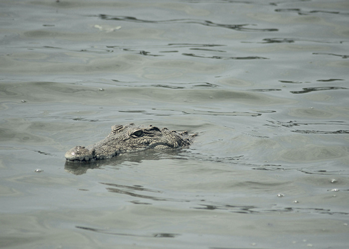 20 Momentos causados por los "malditos turistas", compartidos por personas que viven en destinos vacacionales