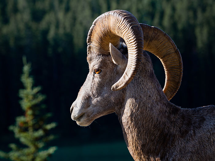 20 Momentos causados por los "malditos turistas", compartidos por personas que viven en destinos vacacionales