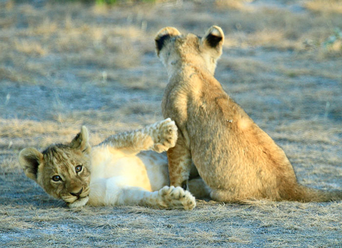 20 Momentos causados por los "malditos turistas", compartidos por personas que viven en destinos vacacionales