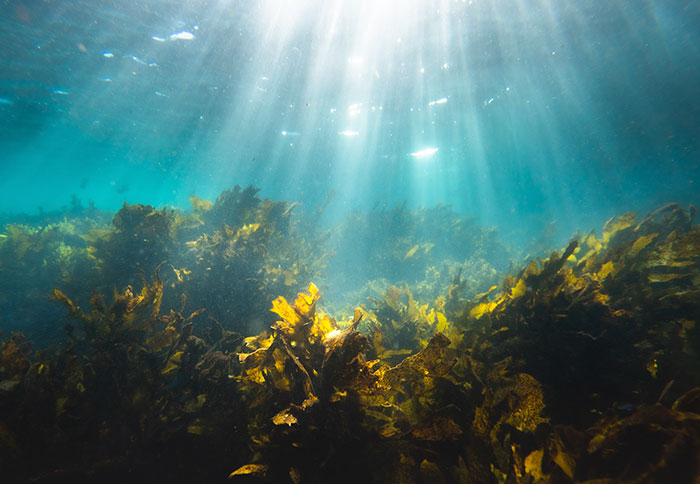 20 Momentos causados por los "malditos turistas", compartidos por personas que viven en destinos vacacionales