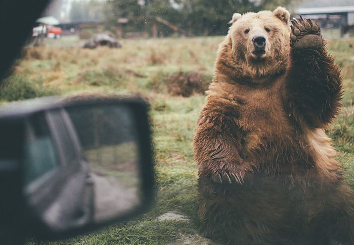 20 Momentos causados por los "malditos turistas", compartidos por personas que viven en destinos vacacionales