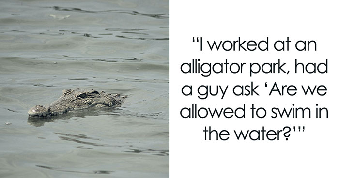 30 Of The Most “Damn Tourists” Moments Shared By People Who Live In Holiday Destinations