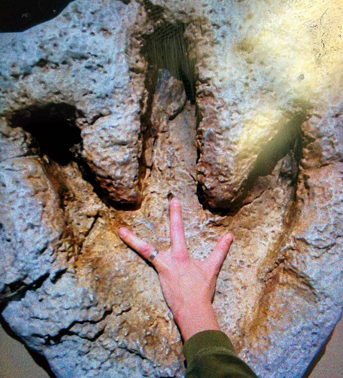 So My Drivers Ed Teacher Only Has 3 Fingers On His Left Hand And Took Advantage Of It When He Went To A Museum