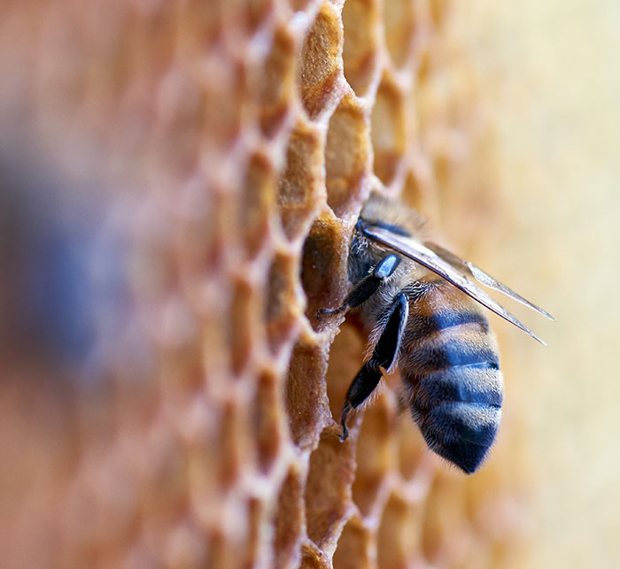 35 People Reveal The "Dark Secrets" About Their Jobs That Common People Aren't Supposed To Know