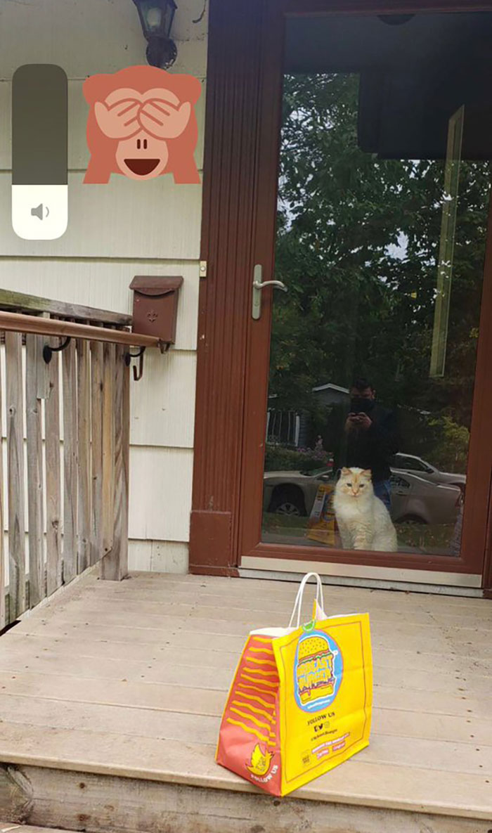 Barely Got My Food In The Shot. This Man Just Wanted A Picture Of My Cat