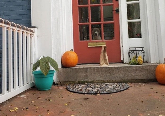 This Is Your Grubhub Driver, Lawrence. I've Left Your Order Outside Of Your Front Door