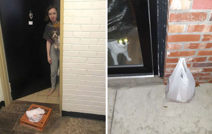 People Are Cracking Up At These 30 Funniest “Proof Of Delivery” Pics Shared By People Online